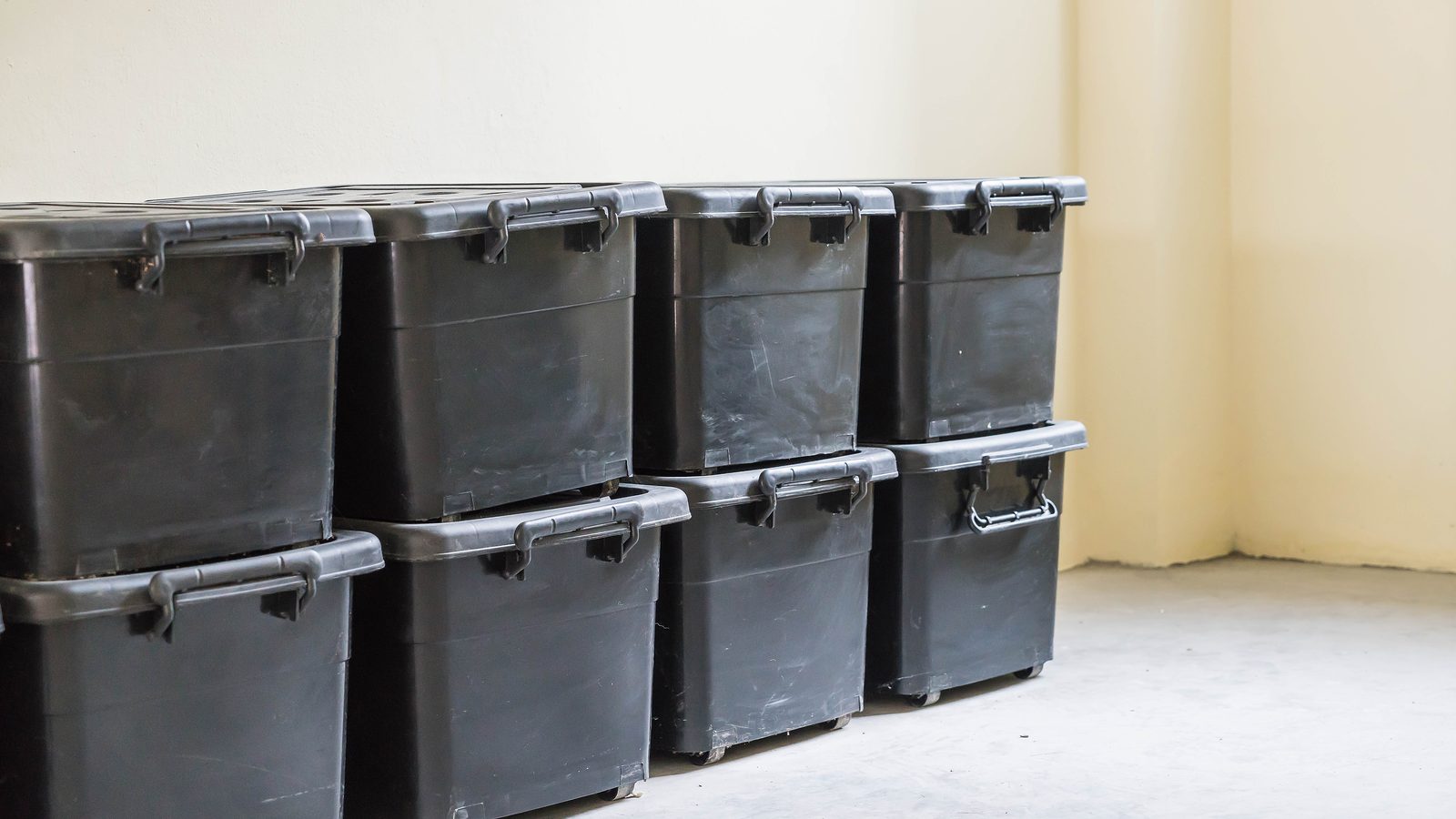 Clear plastic storage case with a snap lid on a garage shelf